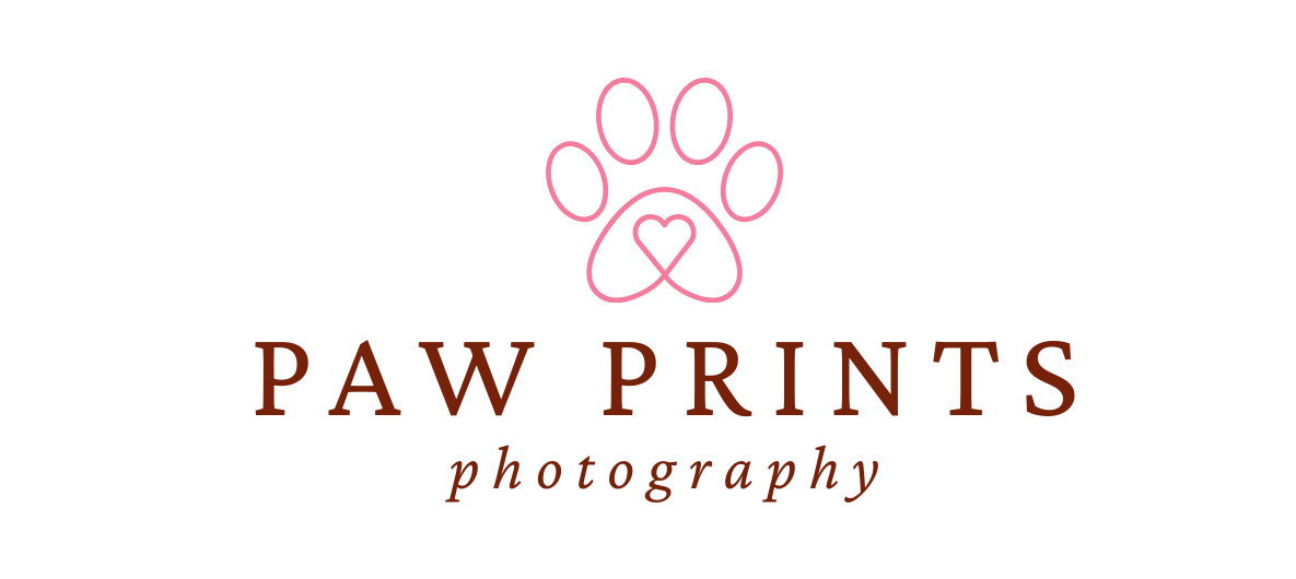 Paw Prints Photography NZ